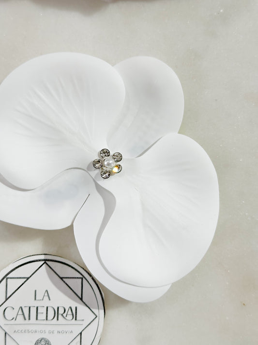 Orquídea Cristal